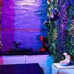 Heart Jungle Apartment *
