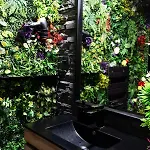 Appartement Heart Jungle *