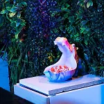 Heart Jungle Appartement *