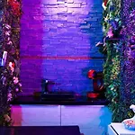 Heart Jungle *