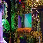 Heart Jungle Appartement Grenoble
