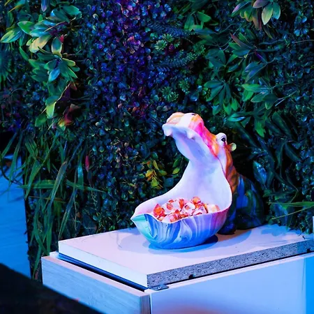 Heart Jungle Appartamento *