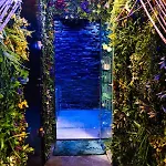 Apartment Heart Jungle *