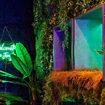 Heart Jungle Apartment
